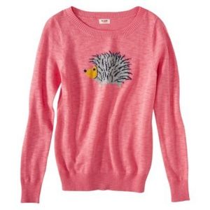 Massimo hedgehog sweater from Target